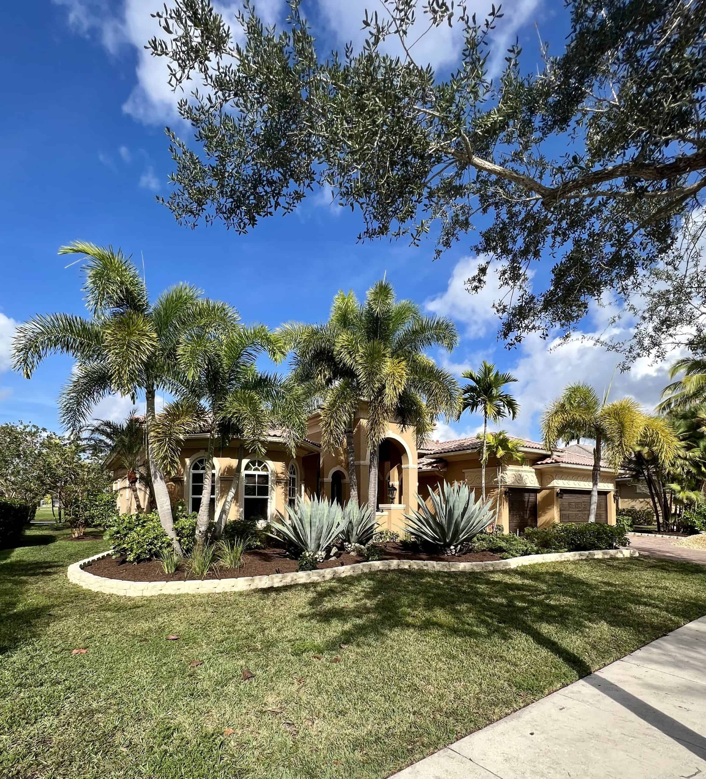 a large Florida property with tall palm trees and privacy shrubs in the front yard flower bed